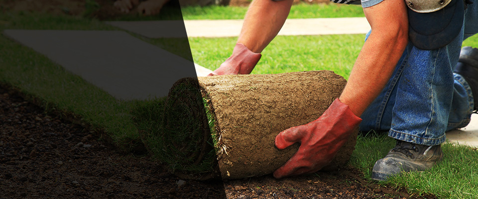Chandler Landscapers